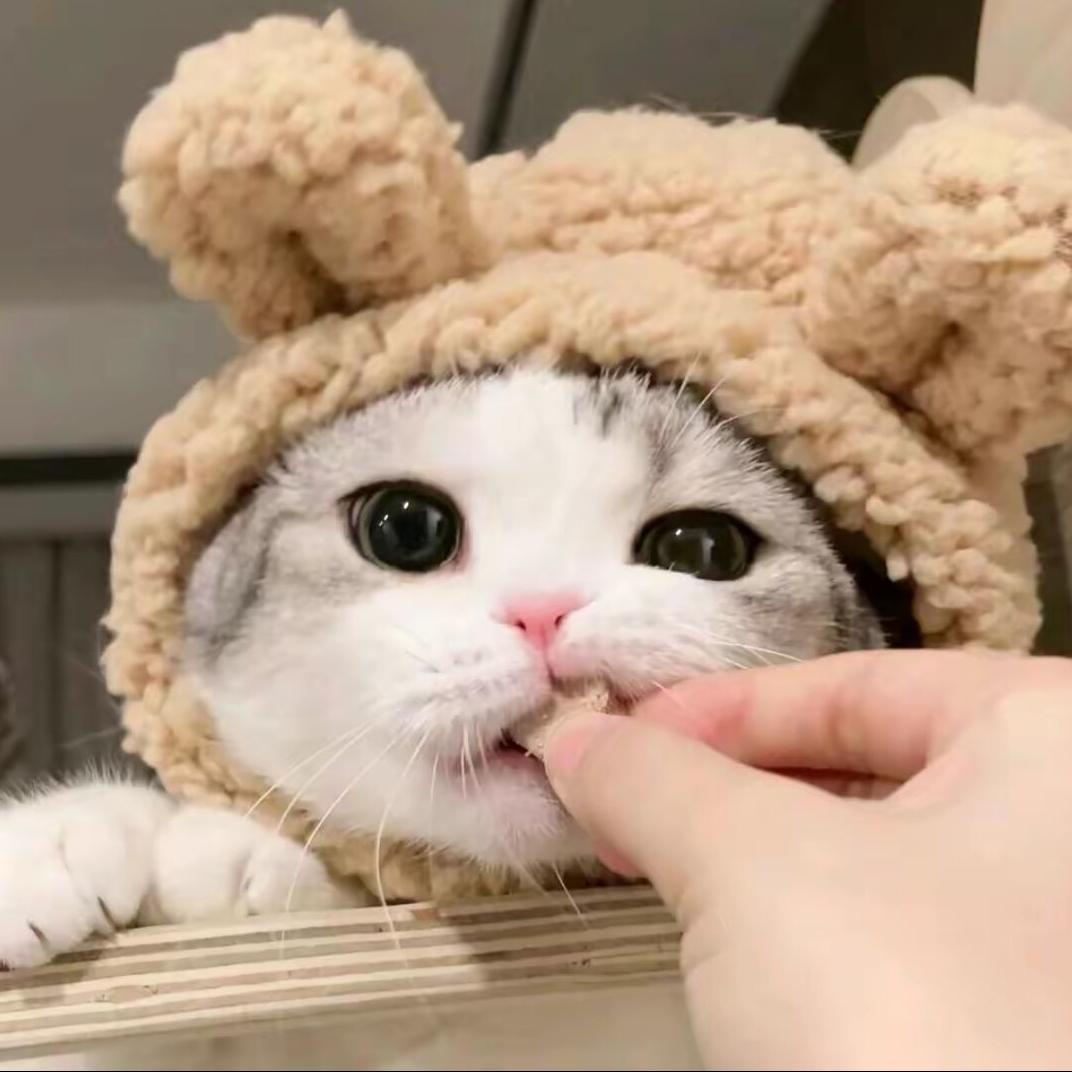 柿子狮子推箱子