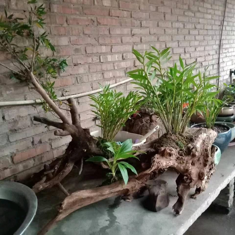 微风轻拂