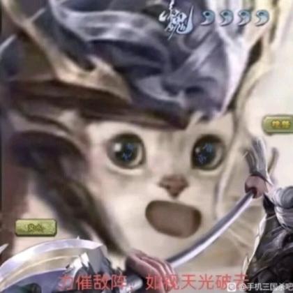 元直不说了（三国杀）