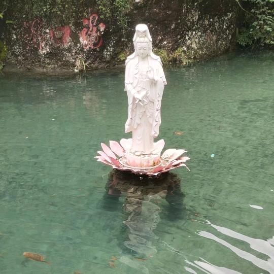 中洲卤味店