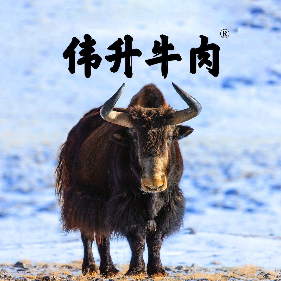 牦牛丹妹&伟升牛肉