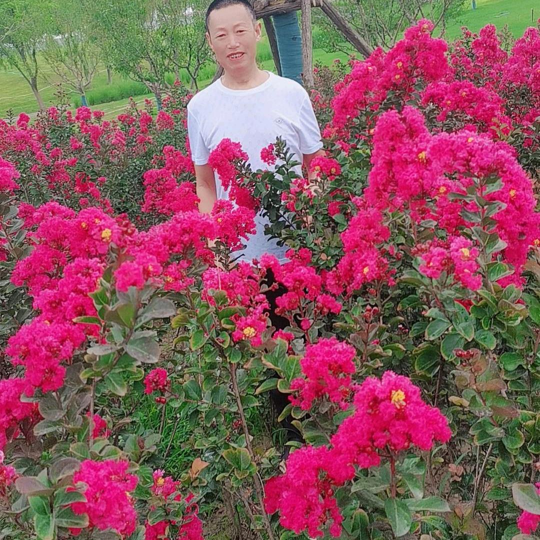 明月🌙🐇