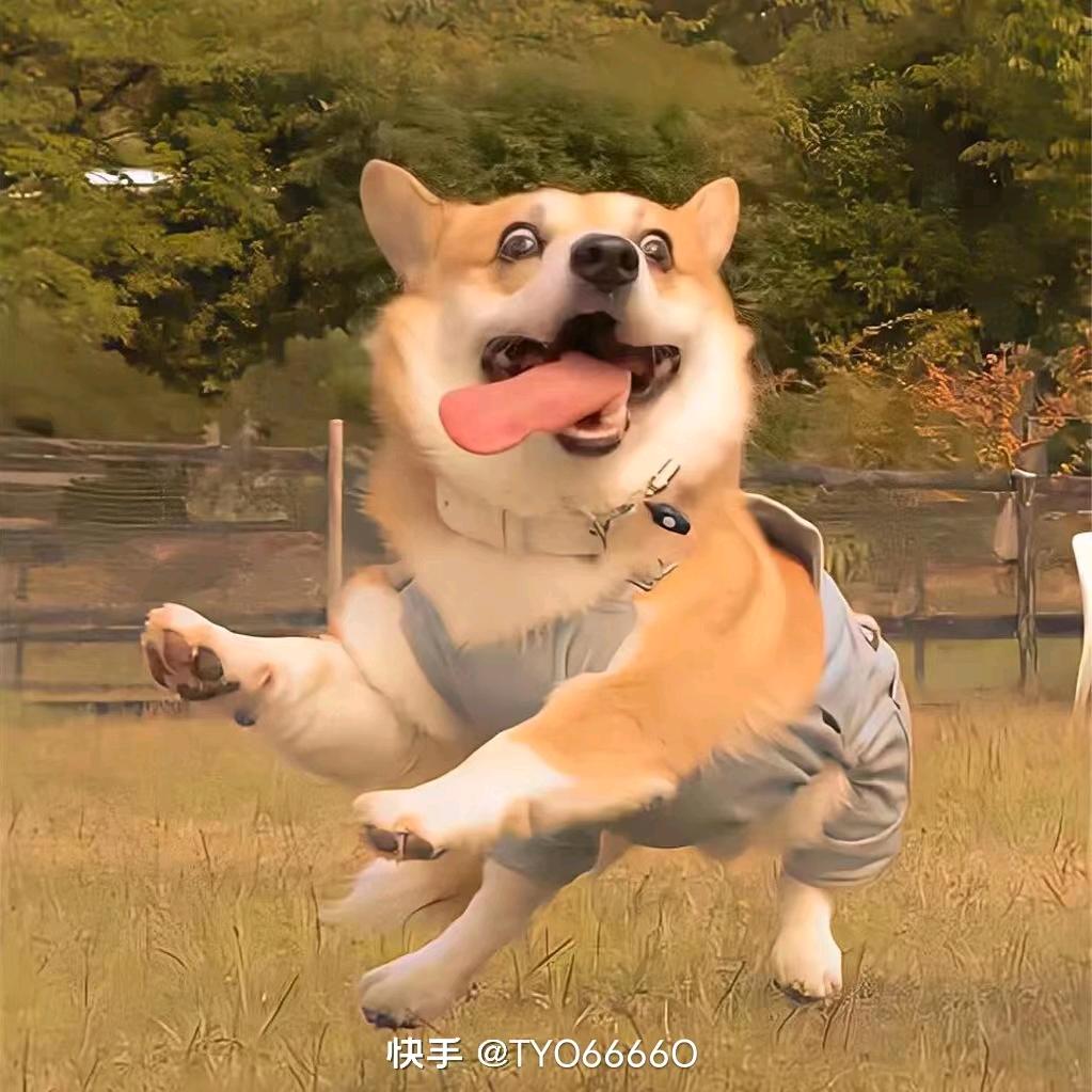 .......