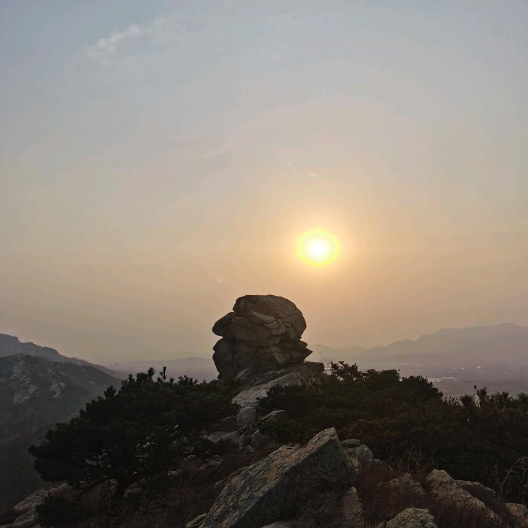 自学倪师(关注领)