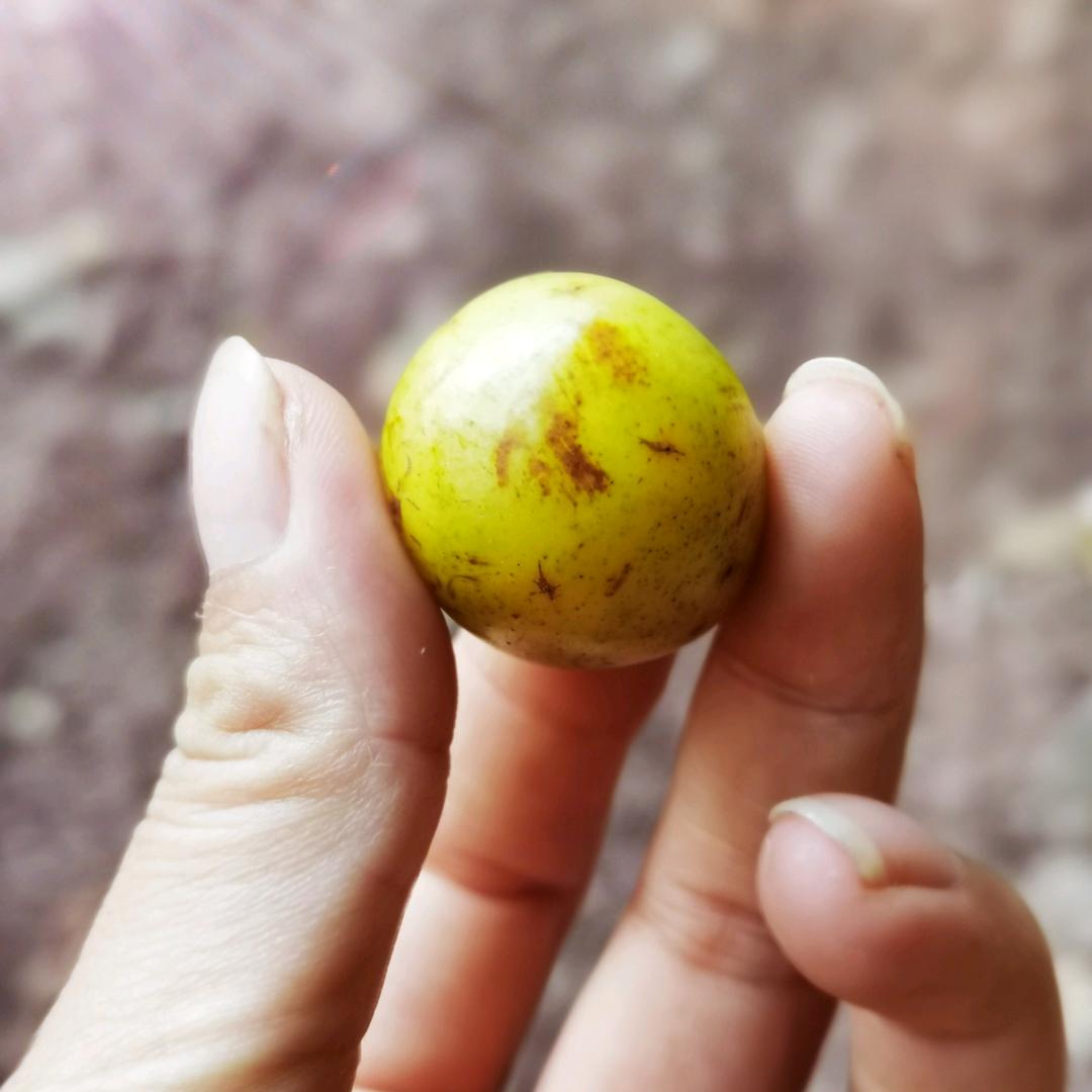 沉默如迷