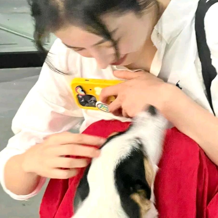 芋头♡