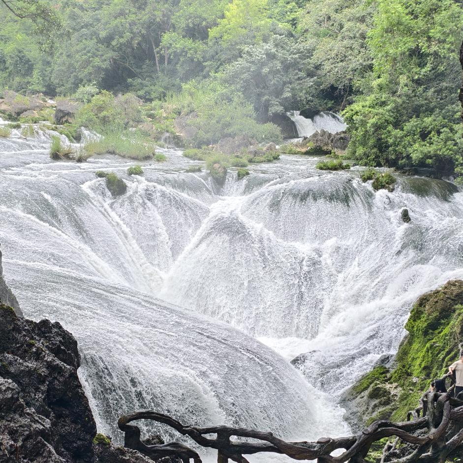 出去走走散散心