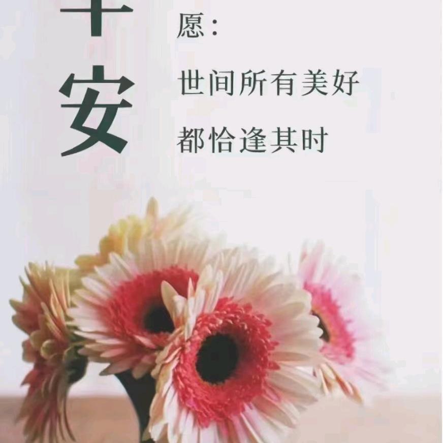 一蓑烟雨我逍遥