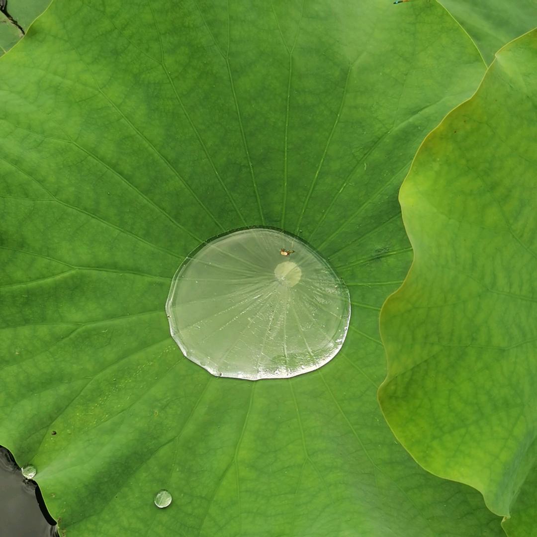 懂珍惜