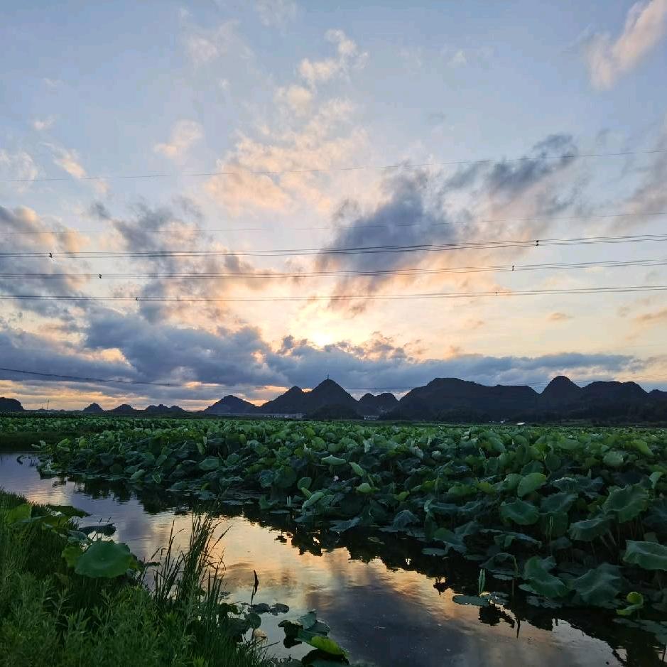 张碧霞（驻村书记）