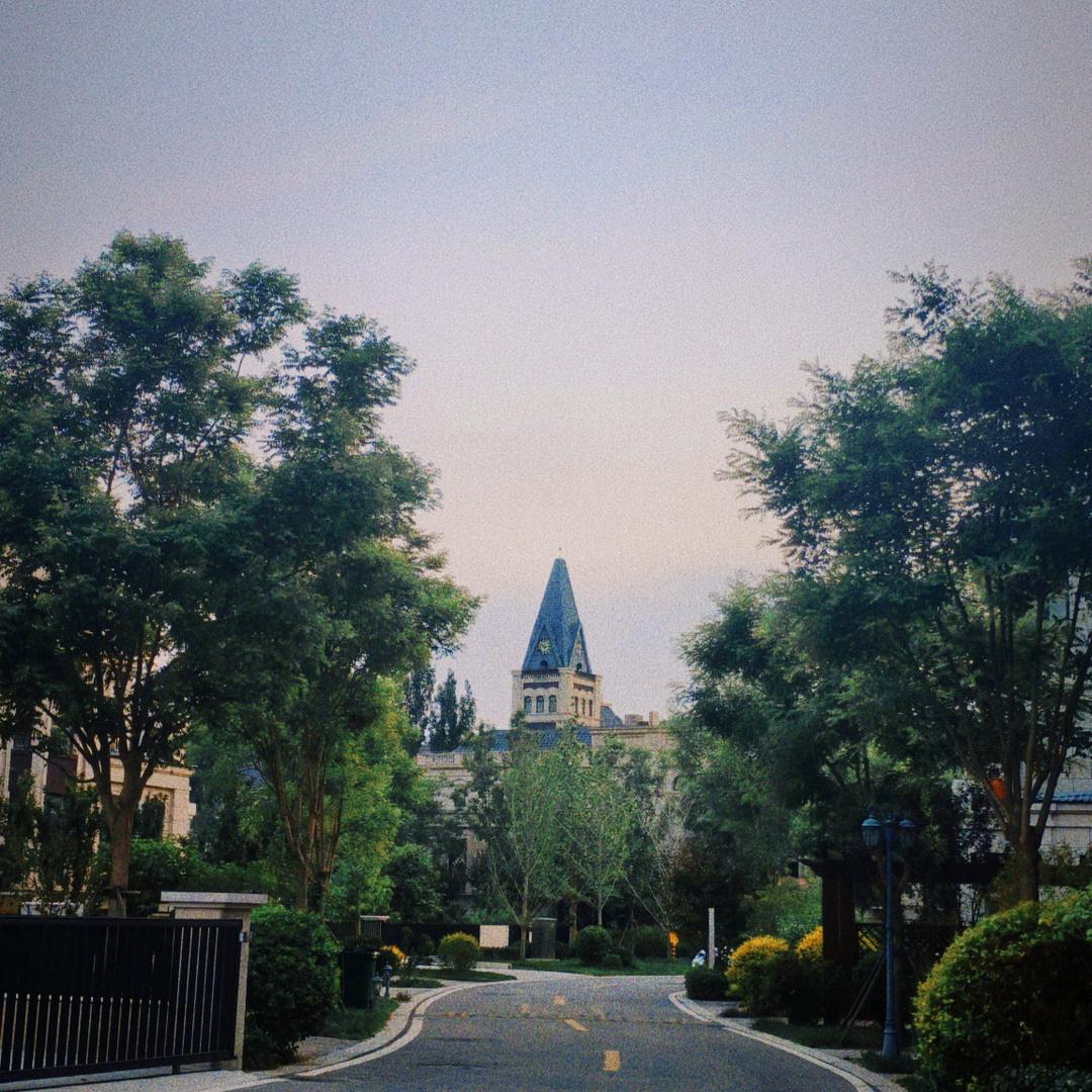 Amy的漂亮小姐姐🌻