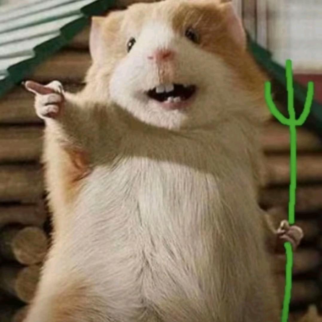 风尘普普