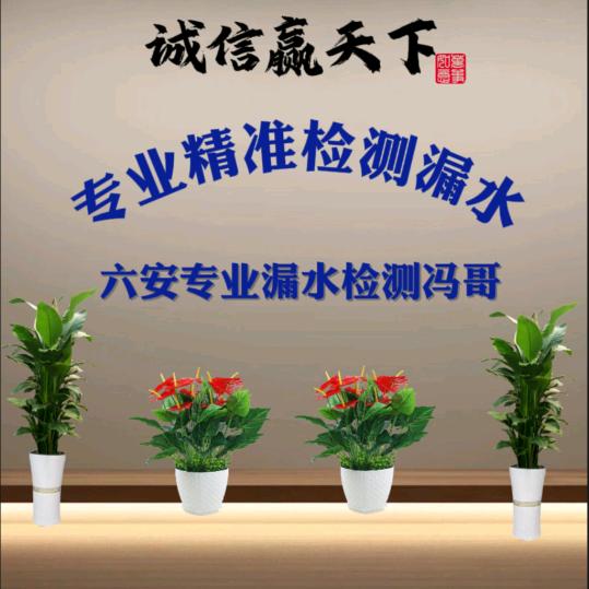 六安精准漏水检测冯哥