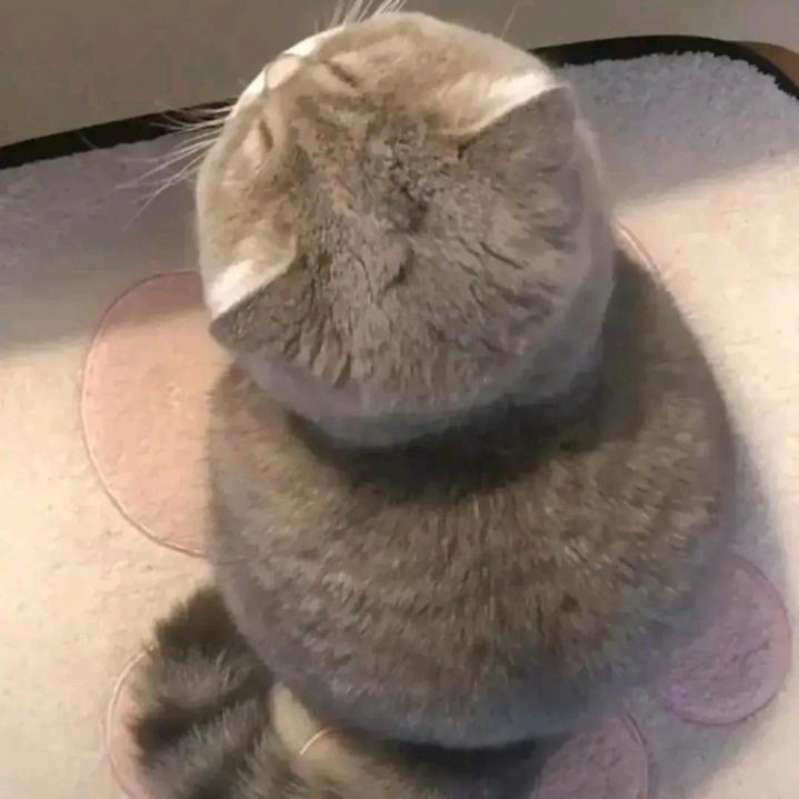 乂氼