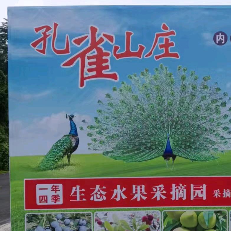 孔雀山庄机肥种植应季水果采摘园