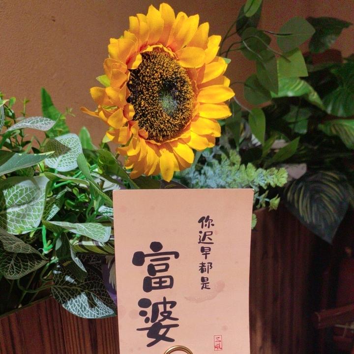 太阳花好物