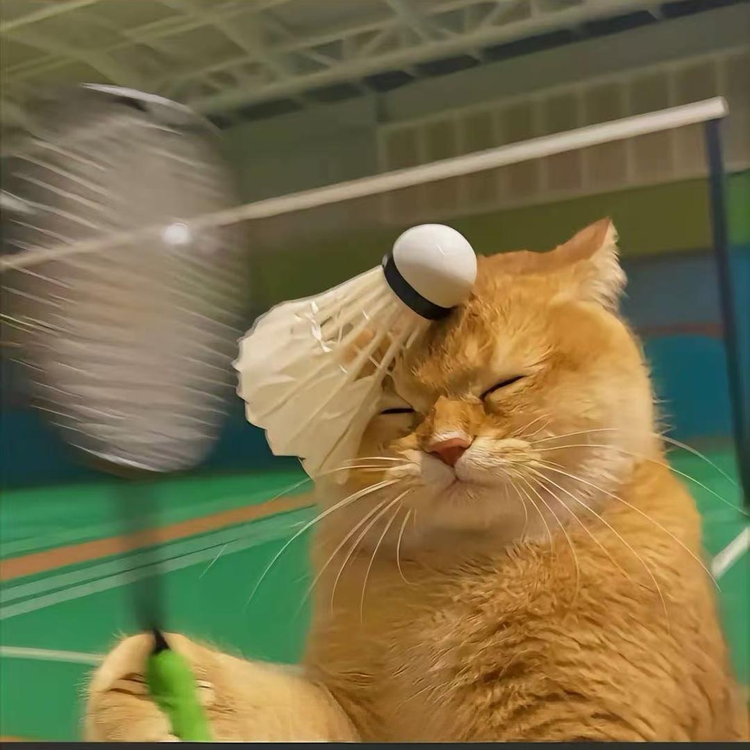 ᰔᩚ 听瑞岁岁念