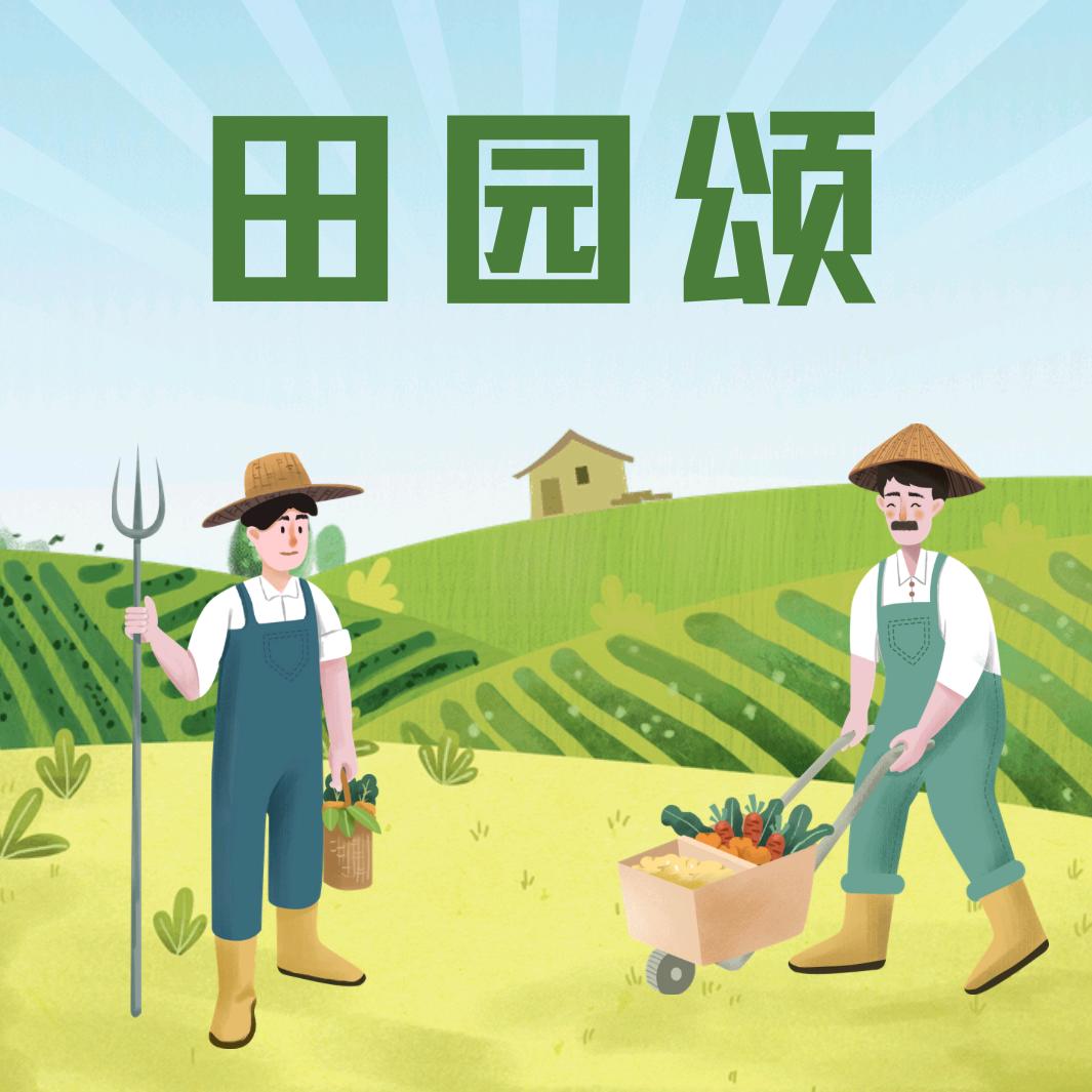 晨熙严选好物