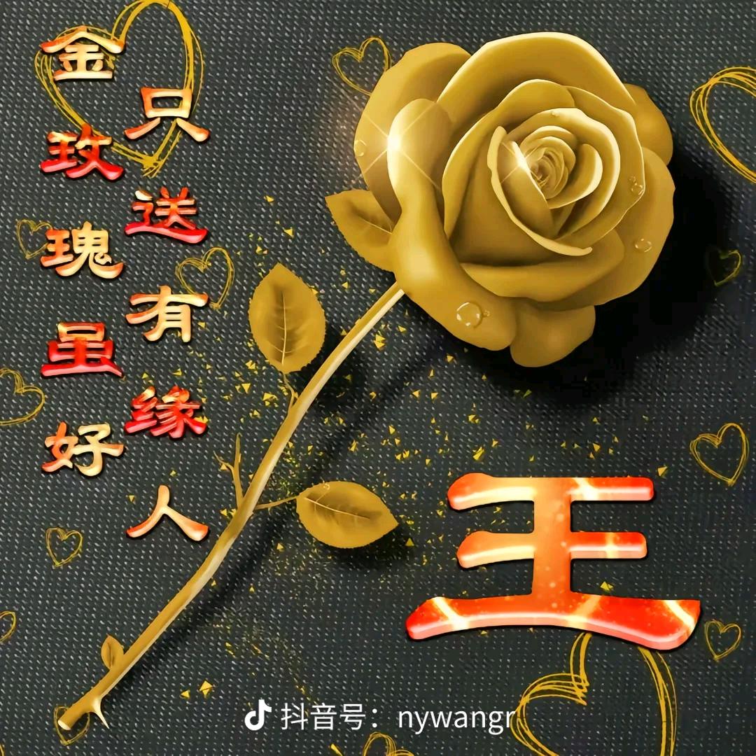 用户8116109811349
