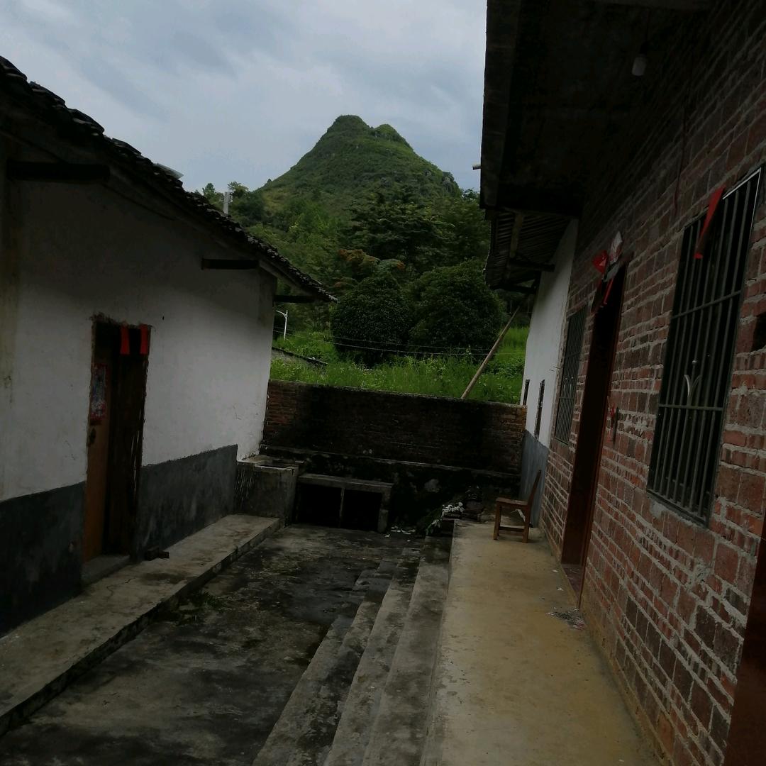 杨(›´ω`‹ )红