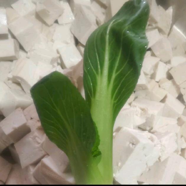 永涛丽睿