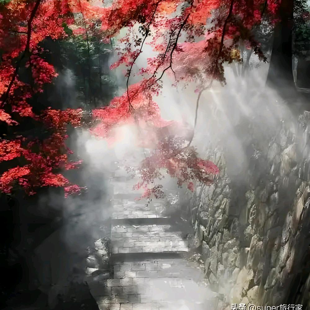 ༺🍀ཌༀ隨꧁楓꧂飄 霝ༀད🍀༻（封）