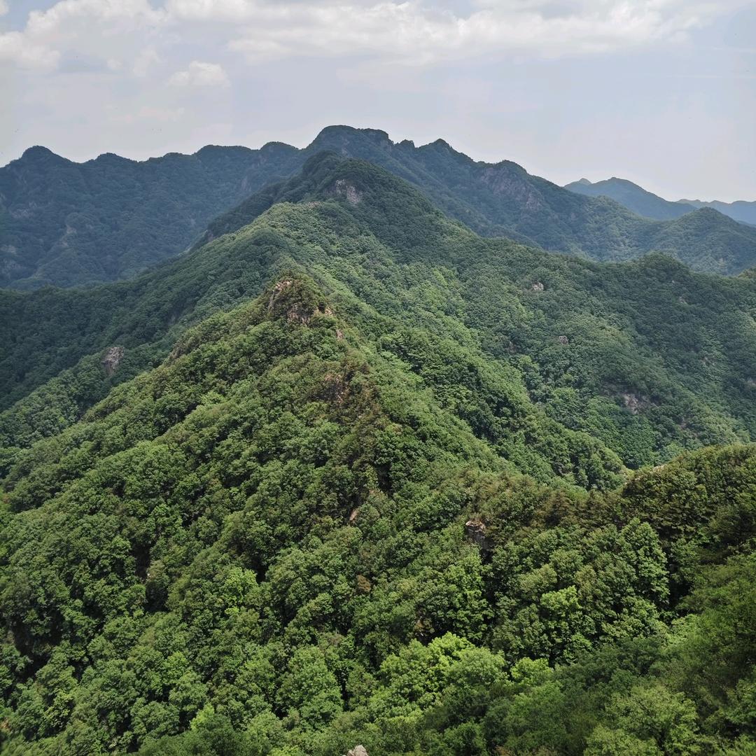 杨哥带你看山村