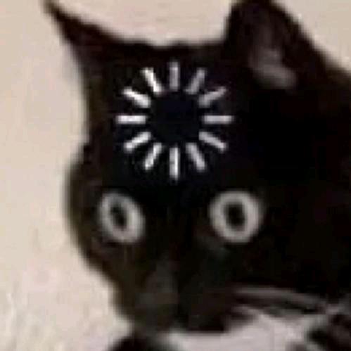 蛋壳壳