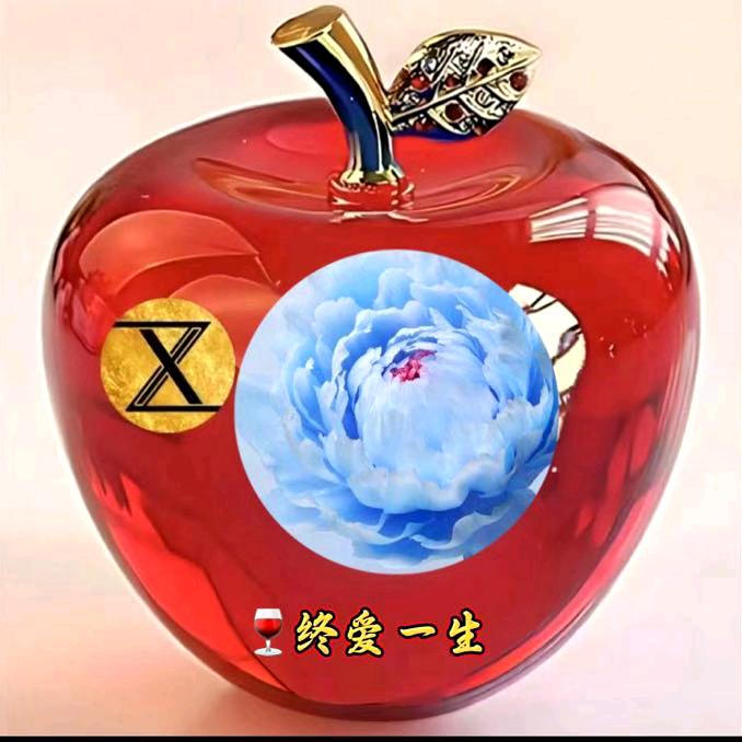 🍷终爱一生
