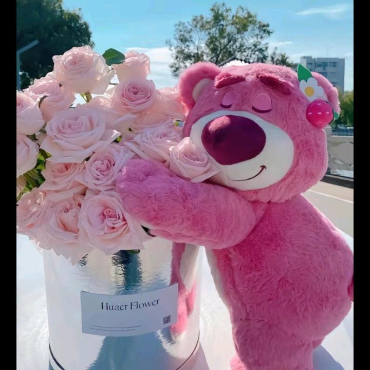 半边梅💍💍👑👑