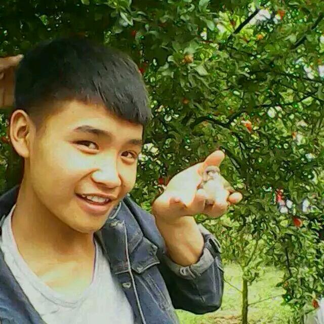 自煤体传播正能量