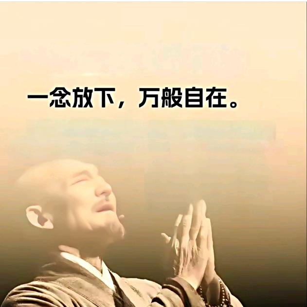 一念花开  🌹