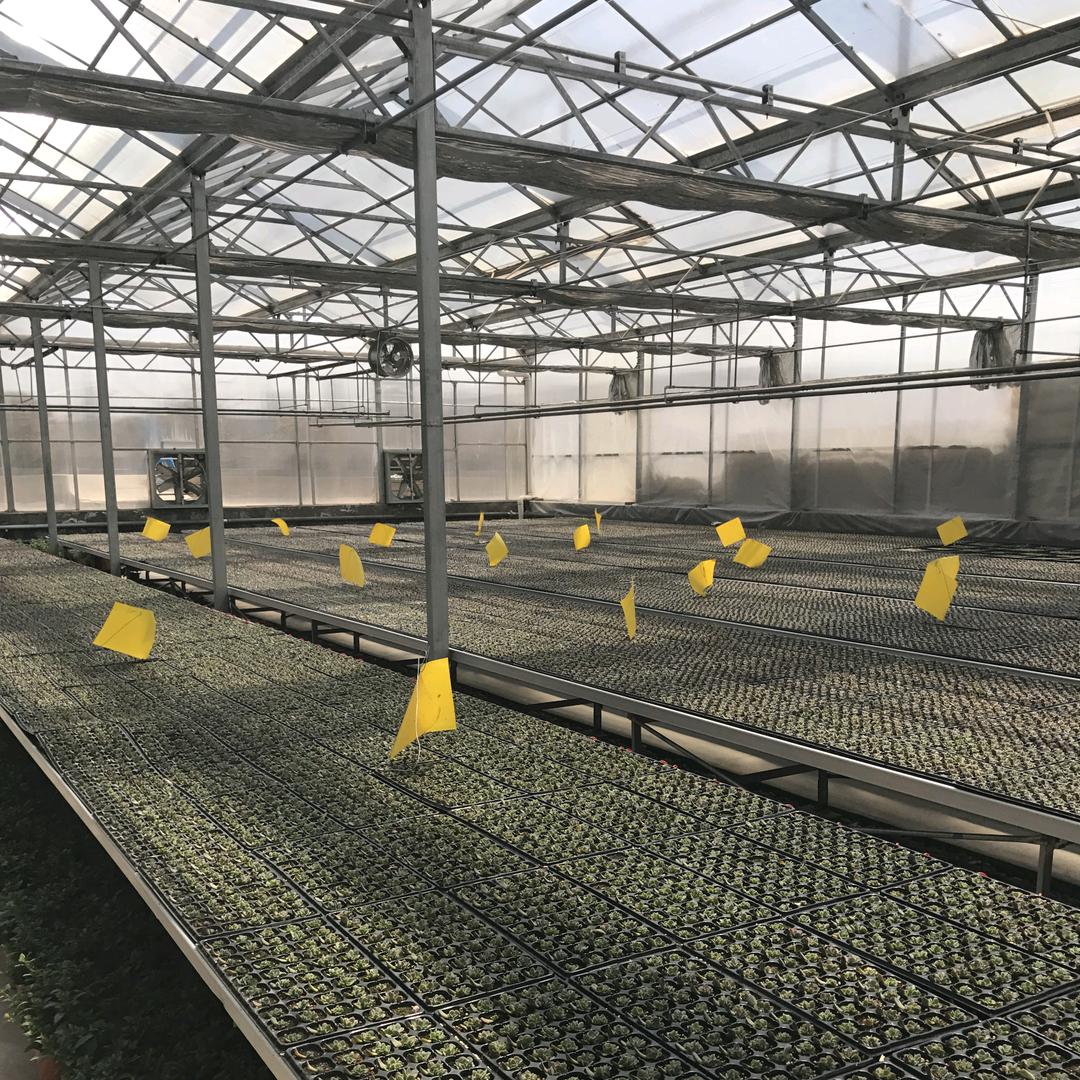青州市万红温室园艺工程有限公司