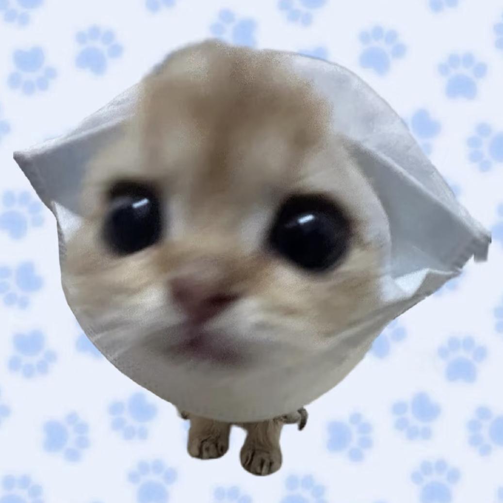 番茄鸡蛋面