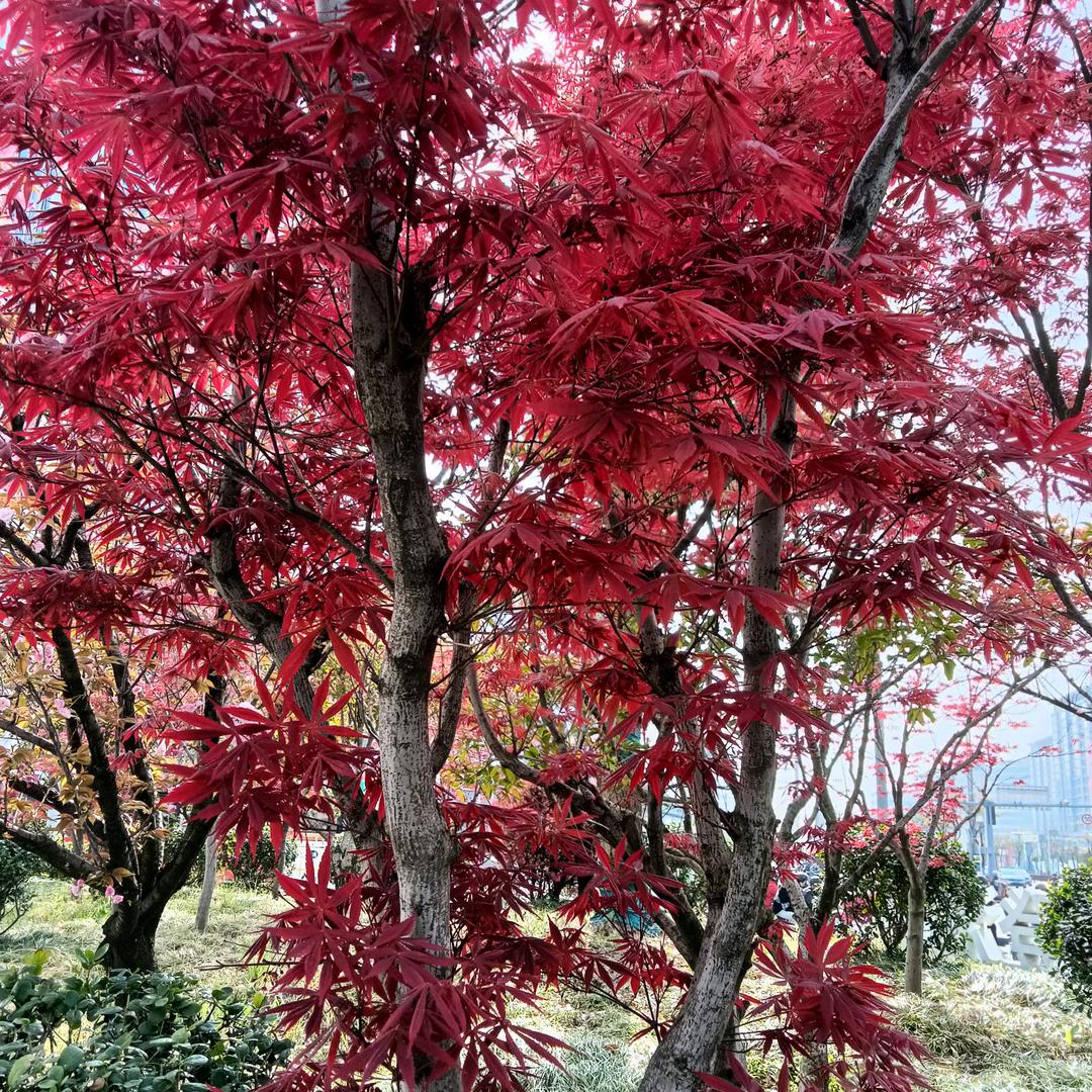 冷暖自知！心静则安