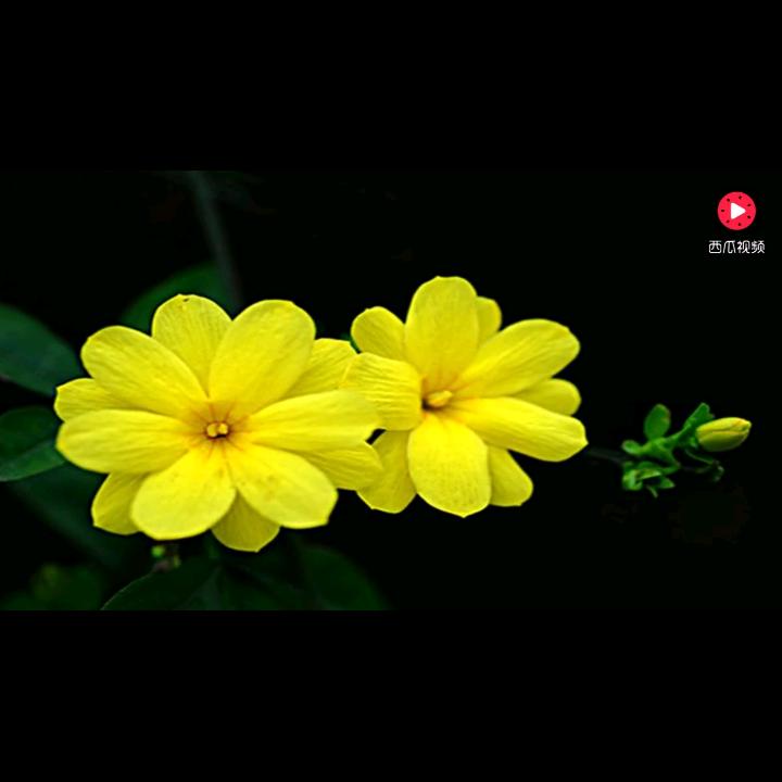 ꕥ᭄冷暖自知ꦿᩚ࿐