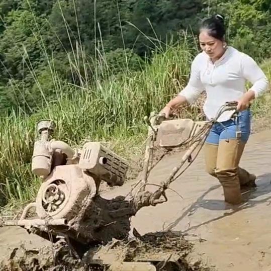 潘丽....