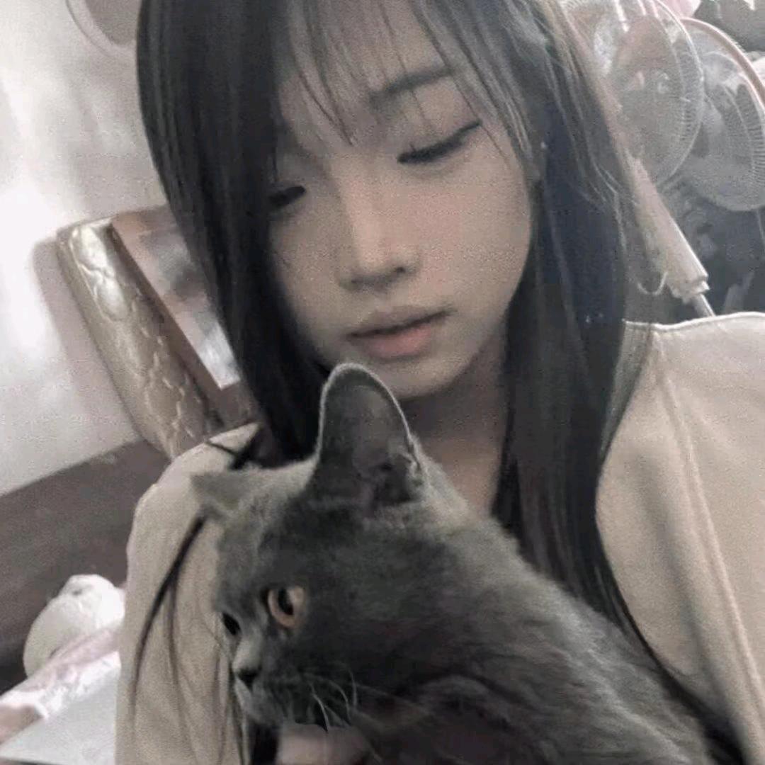 琴晚y
