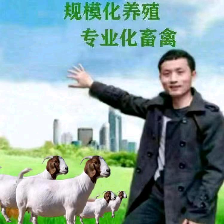 牧羊村儿
