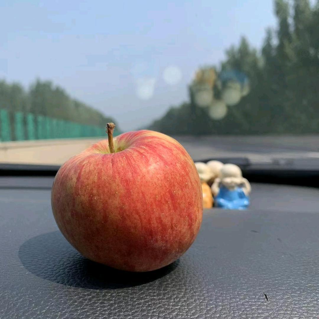 大燕（全国招🐷播可居家播）