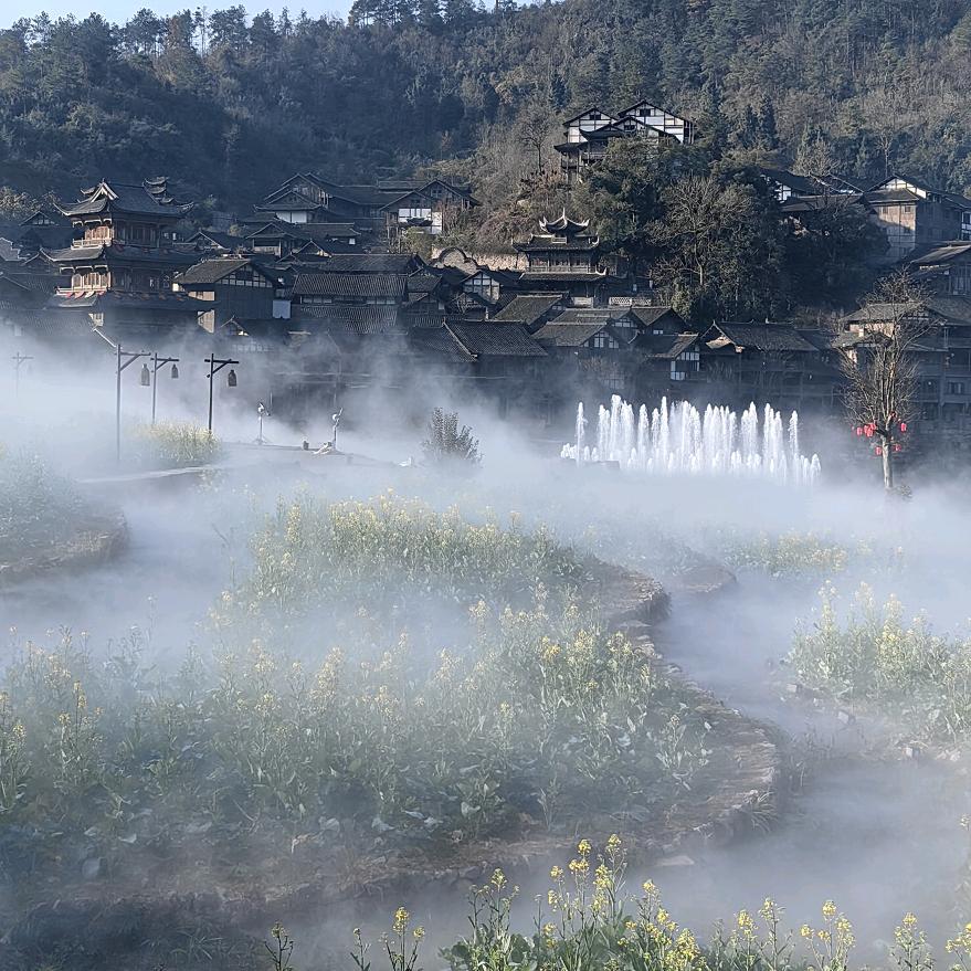 小欧兄