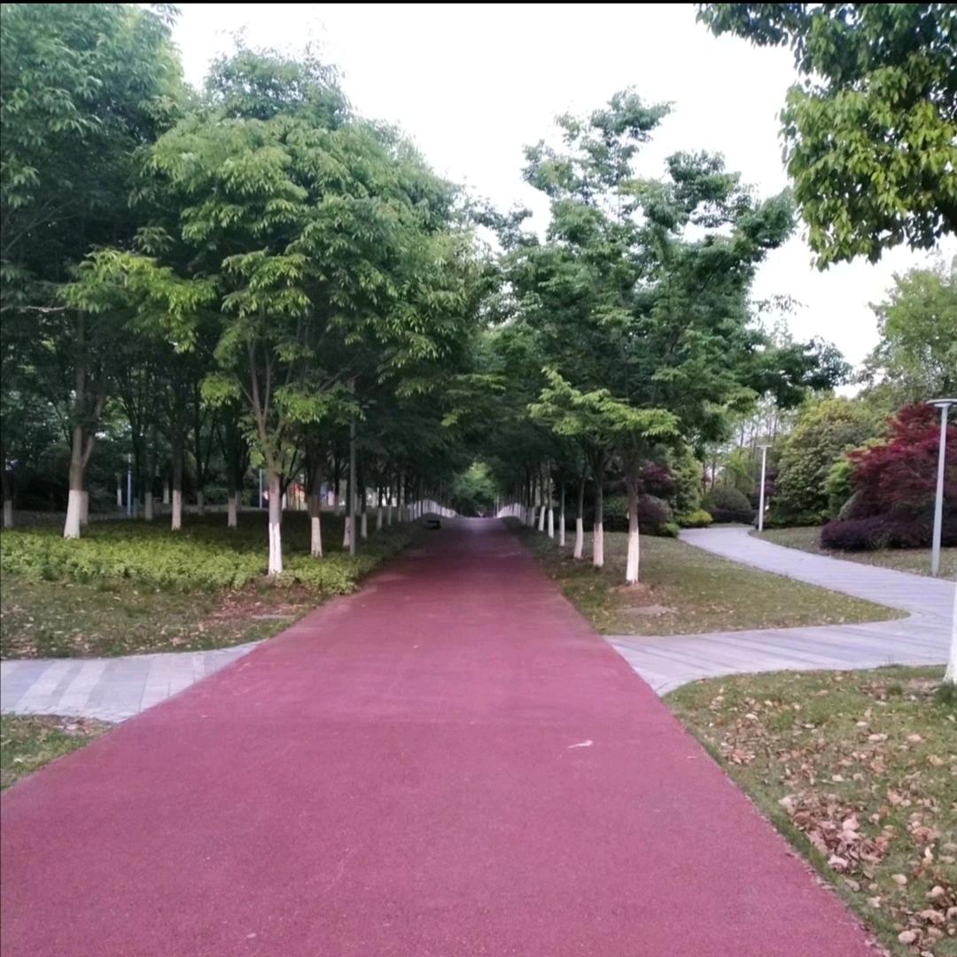 ( ｰ̀εｰ́ )……