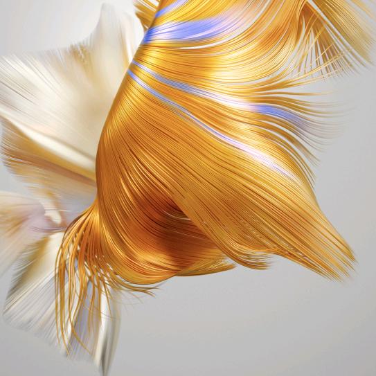 云烟过往【550】🐘