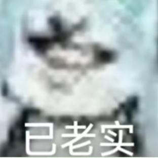 牛角洲、歌小鸡