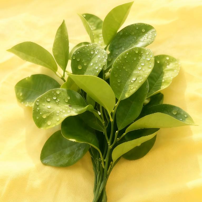 @”深“”……遂