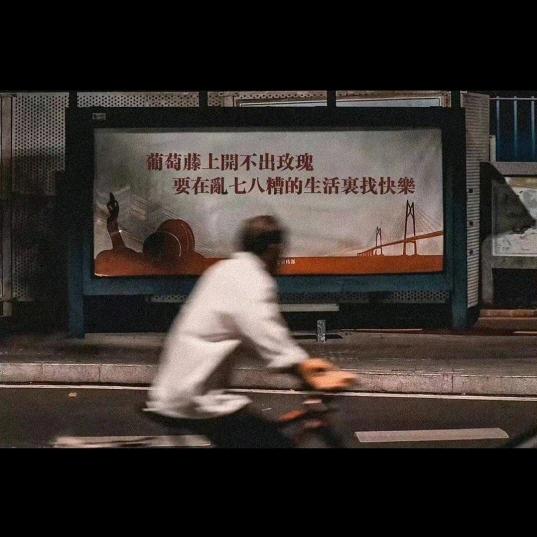 归壹