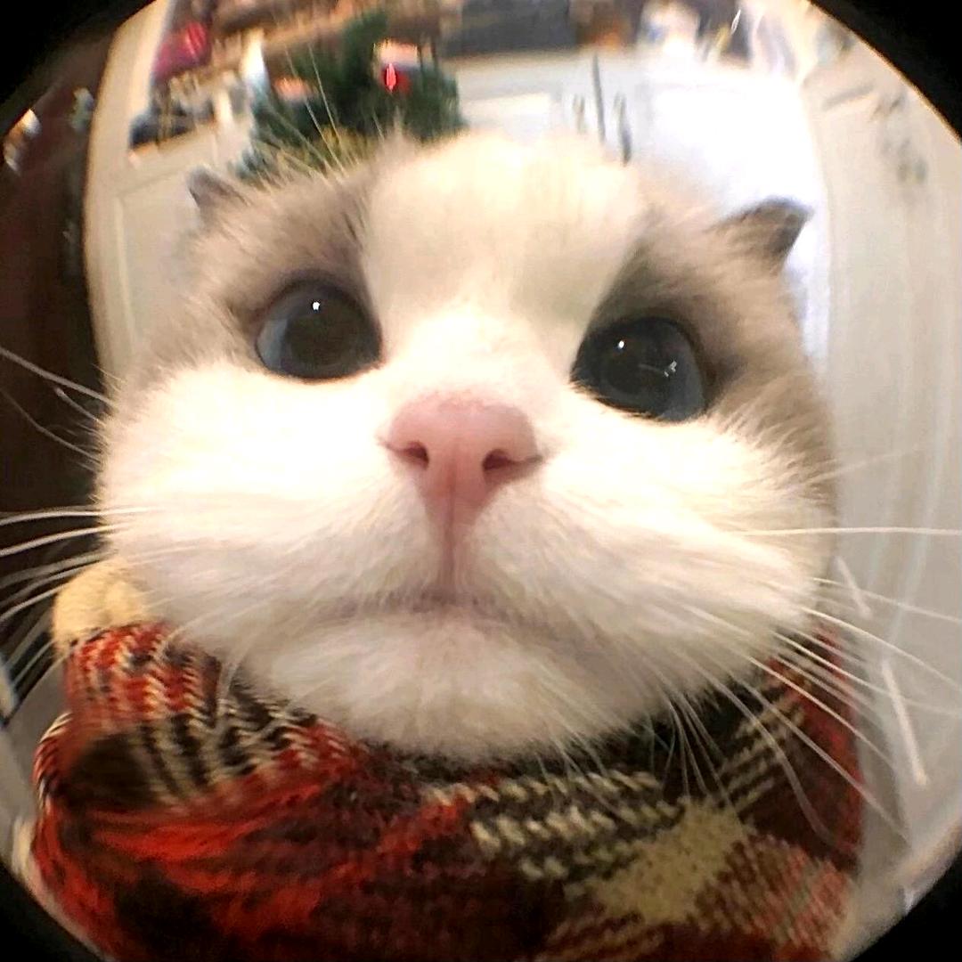 化妆不喜欢涂脖子