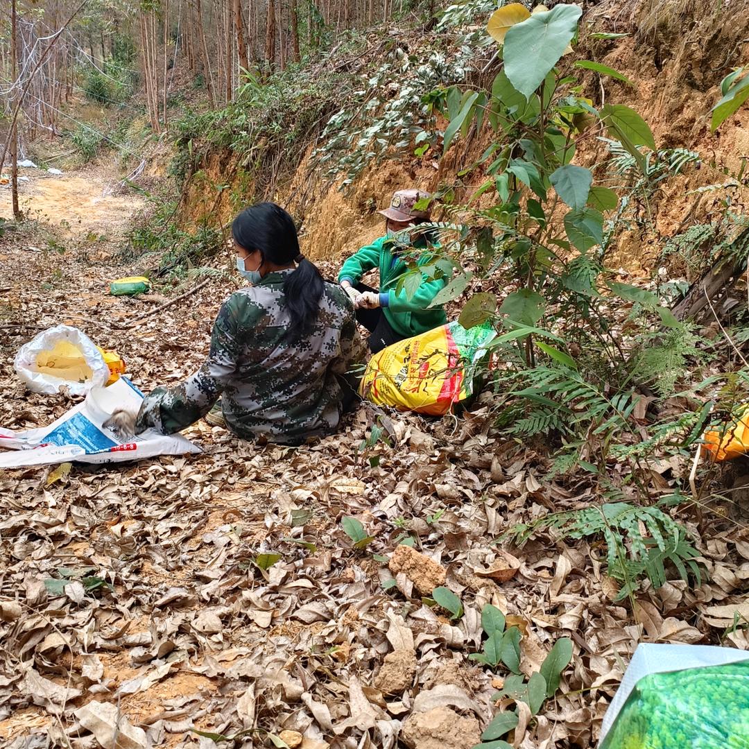 繁花父子