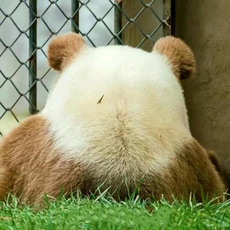 和为贵广告