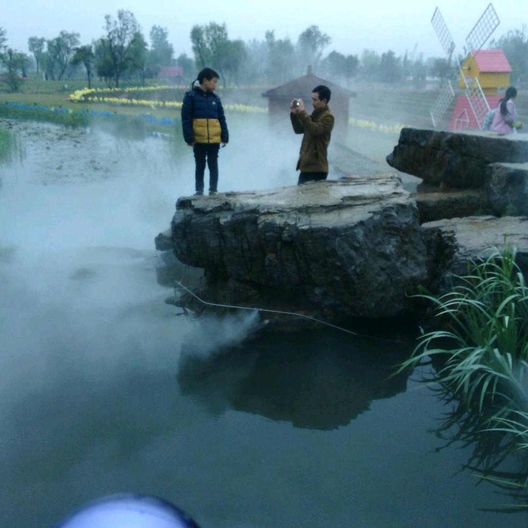 随风@美的colmo小天鹅